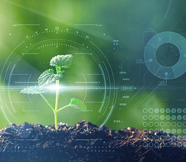 Monitoramento Ambiental